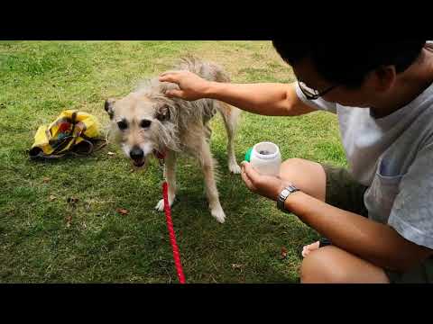 Amala gets along with stranger.