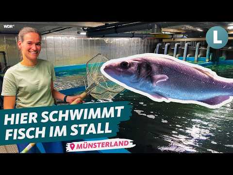 Salzwasserfische made in NRW: Landwirtin setzt auf Fischzucht im Münsterland|Lokalzeit Land.Schafft.