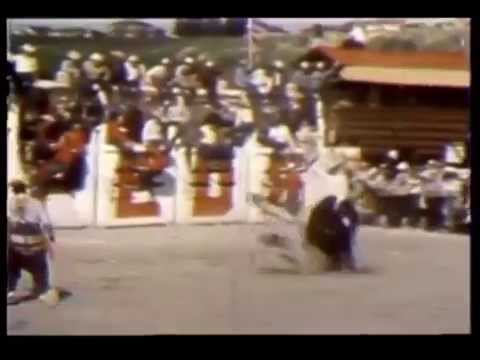 BBTV Nostalgia Channel - What the...??