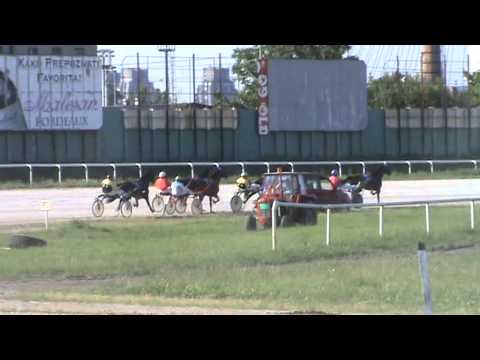 Београд 16 Јун 2013 - Државно првенство за грла од 5 г.