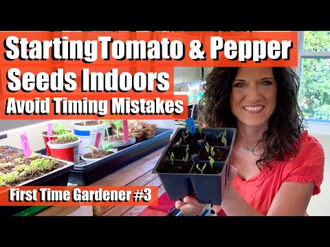 How to Start Tomato and Pepper Seeds Indoors-Avoid Timing Mistakes/First Time Gardener #3 🍅🫑