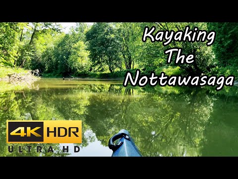 4K River Kayak Adventure - Birds Singing ~ Water Sounds
