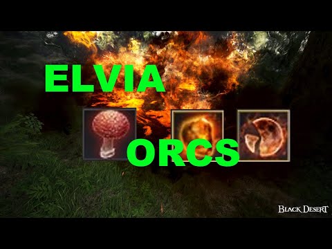 Succ Wizard Tries Elvia Orcs | BLACK DESERT ONLINE