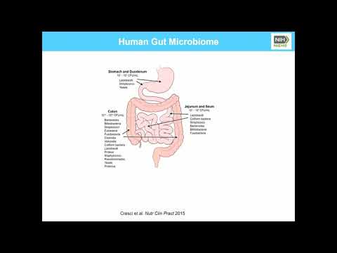 H3Africa Webinar_African Population Genomic Structure