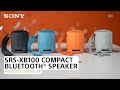 Sony Bluetooth Speaker SRS-XB100 Schwarz
