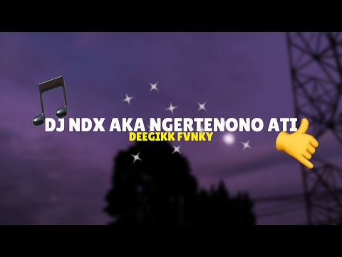 DEGIK FANKY and DGFVNKY VIBE