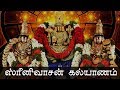 Srinivasanin Kalyanam Song Venkateswara Thirukalyanam Vishnu Sri M Srinivas Lakshman Sai