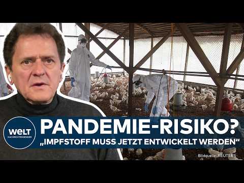 Video Thumbnail: VOGELGRIPPE-ALARM! Erster Todesfall in den USA durch H5N1-Virus - "Impfstoff muss entwickelt werden"