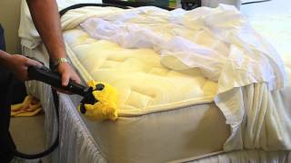 How to Kill Bed Bugs On A Mattress Using Steam