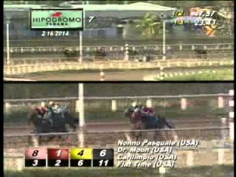 7MA CARRERA DOMINGO 16 DE FEBRERO DEL 2014 HPR