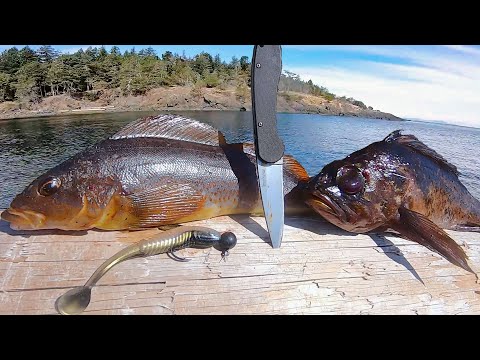 Shore Fishing For Dinner! - Pacific Rockfish & Kelp Greenling