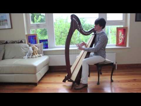 Fiachra - Dennis O Connor