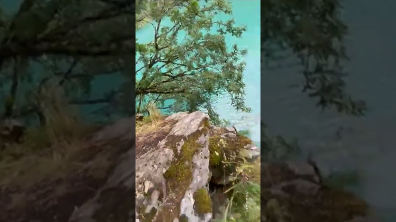 Me Tarzan, you Jane.