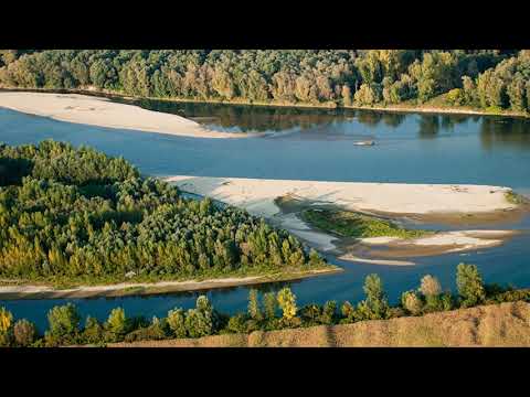 Željko Sesvečan - Evo mene Podravino