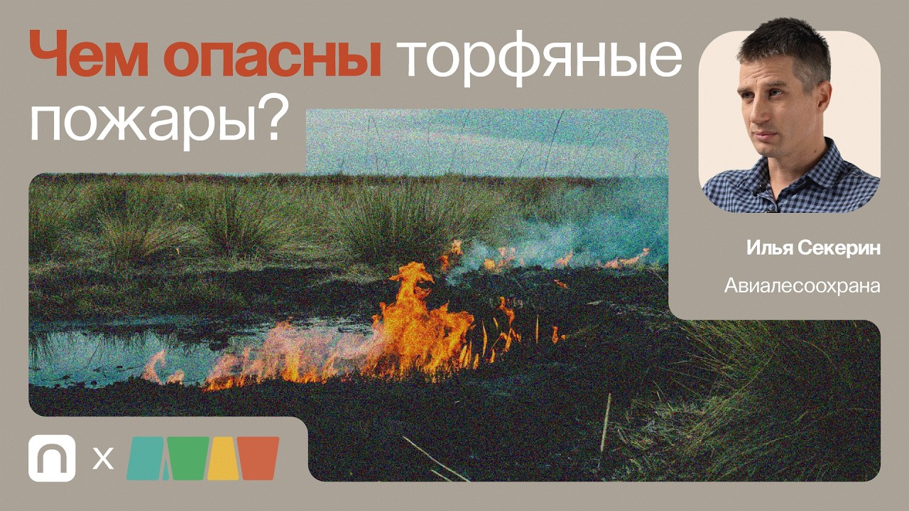 Торфяные пожары / Илья Секерин на ПостНауке