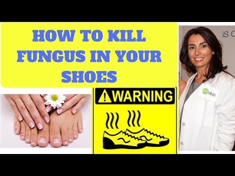 Kuko halamang-singaw paggamot review Presyo analogues Kung paano baguhin ang kuko halamang-singaw
