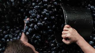 Marsen Višňovica Traditional 0,7 l