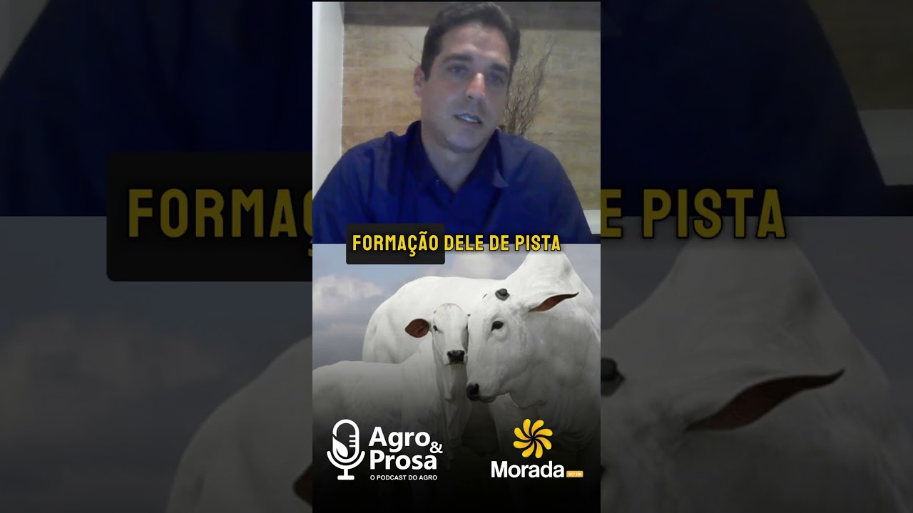 Seleção genética no Nelore: dados e morfologia orientam decisões #agroeprosa #nelore #pecuaria