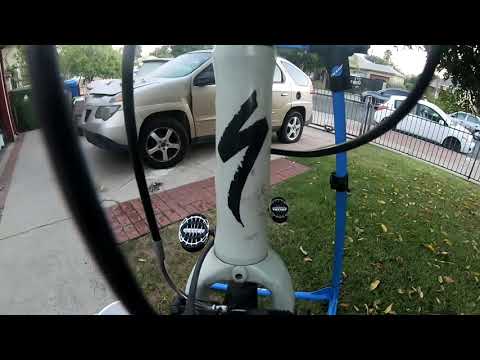 Nexus hub 8 speed commuter bike (Specialized Globe )