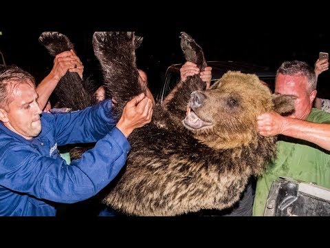 az erekció megemelésére szolgáló gyakorlatok)