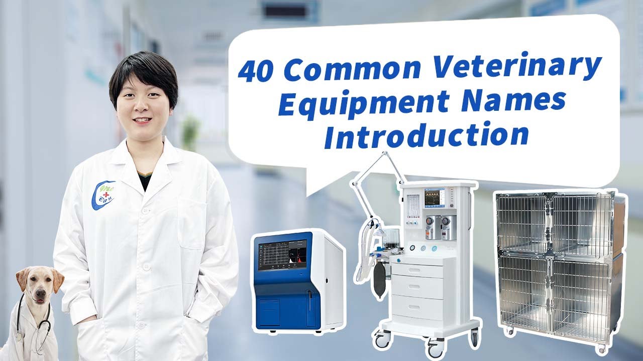 40 Common Veterinary Equipment Names Introduction | MeCan Medical