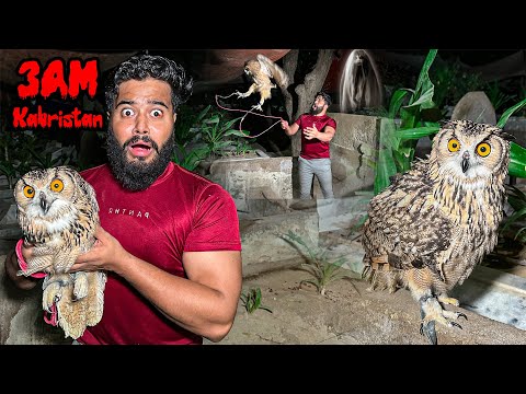 KABRISTAN MEIN RAAT 3:00AM ULLU KO AZAD KAR DIYA ¿ 😰| SYED FAHAD | H￼ORROR 🧟‍♀️