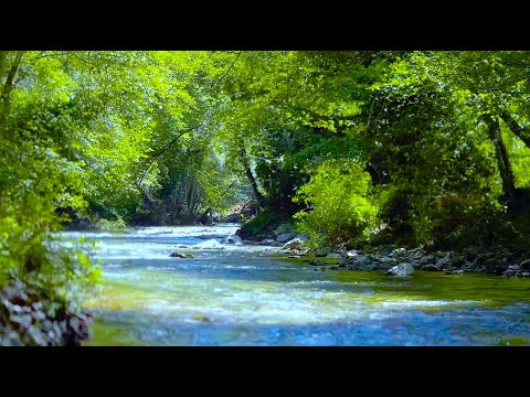 Meditation Stress Relief Music - "The Child In Me" by Liquid Mind