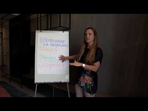 Mariaan Van Zyl - Conflict Handling That Influences