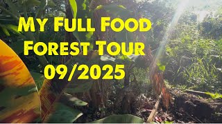 My Full Food Forest Tour September 2025