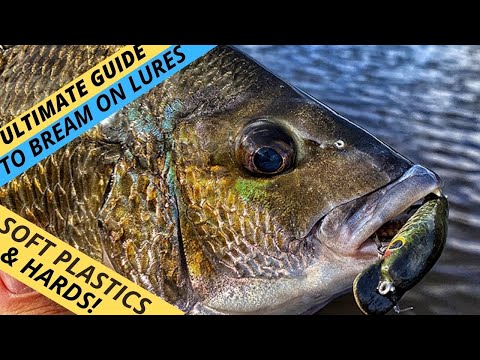 MASTERCLASS: Your Ultimate Guide To Catching More Bream On Lures — Soft & Hard! (Part 1)