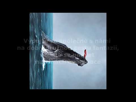 Nové album Magnetik