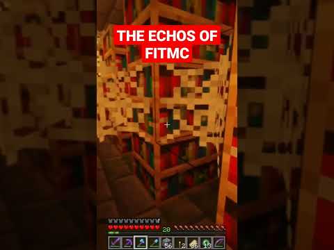 INSANE: FitMC's Echos Haunt 2B2T Anarchy!