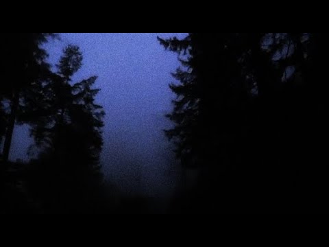 FLIGHTRUSH - TERMINAL (Official Music Video)