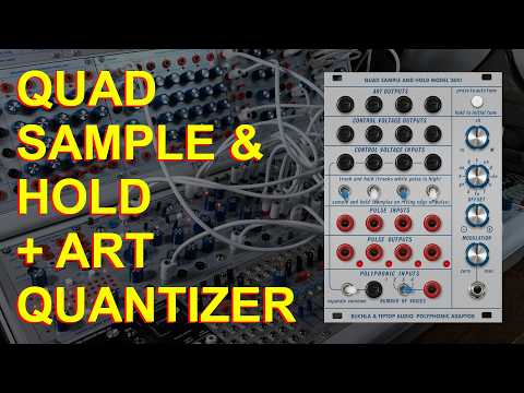 Tiptop Audio Buchla 264t Quad Sample and Hold / Polyphonic Adapter image 2
