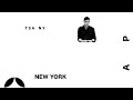 Suice Encounters Tiger Strikes Asteroid NY