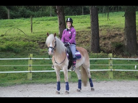 reiten 11 10 2014