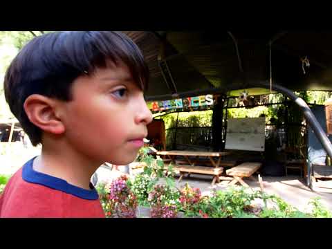 Good Food | Scrappy News | Mexico