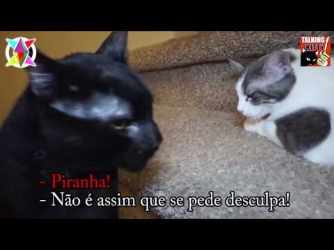 Ep.52 Papai Sylvester - Legendado