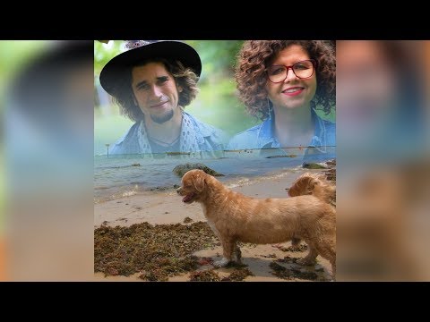Barquinho video