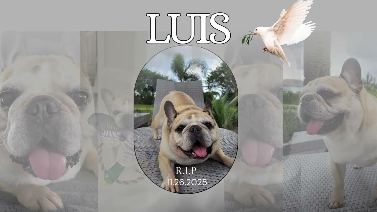 Rest In Peace Luis 11.26.25