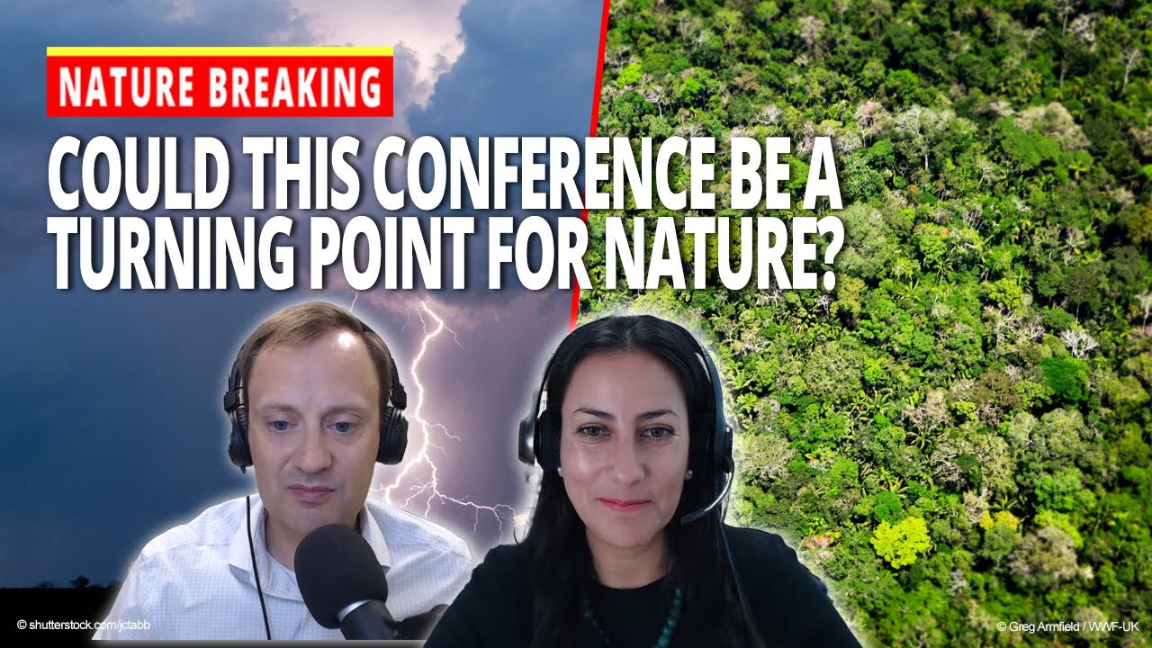 Could CBD COP16 be a turning point for nature?