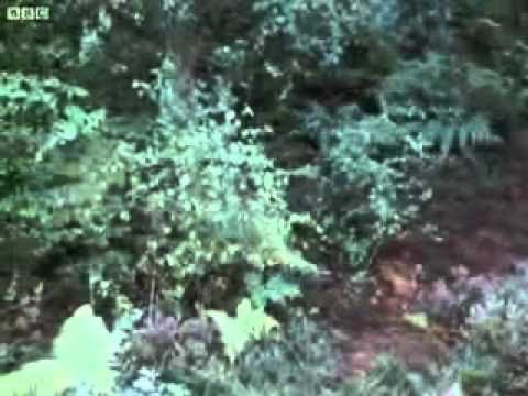 Doctor Who Episode Tribute No.40 - Spearhead From Space