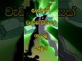 ලංකාවේ වැඩිම පිරිසක් නැරඹූ කාටූන් The Most