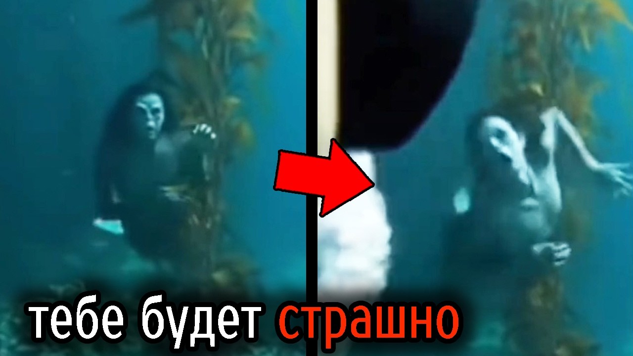 Самые Ужасные Видео со Всего Мира #134