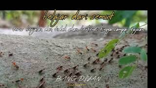 Download lagu story wa semut||30 detik mp3