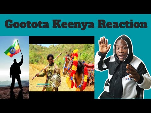 Dessaalenyi Tarreessa - Gootota Keenya - Ethiopian Oromo Music 2021 [Official Video] REACTION!