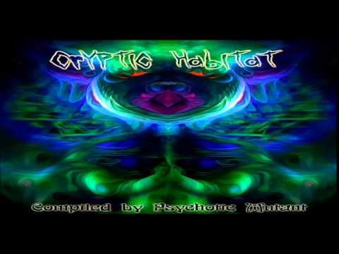 Psycharge - Beyond the Ruins [151]