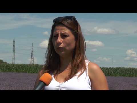 Успешно земеделие - броят от 19. 07. 2018