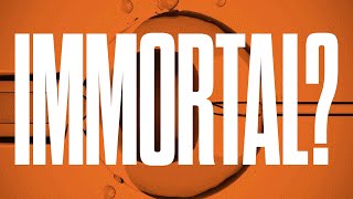 Can Stem Cells Reverse Aging? With Dr. David Agus