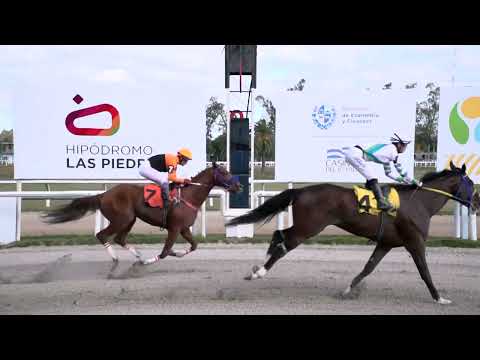230518 c08 - APACHE CAT (BRZ) - HIPODROMO LAS PIEDRAS - GRAN PREMIO UBALDO SERÉ